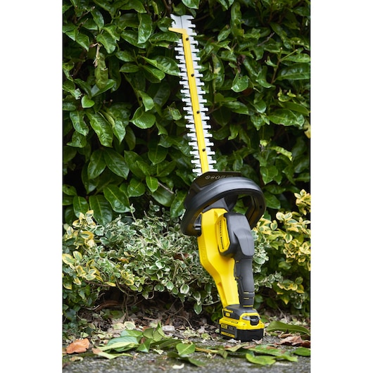 STANLEY SFMCHT855B cordless hedge trimmer shown upright in a garden among green foliage.